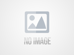 How do you support logistics and international shipping?